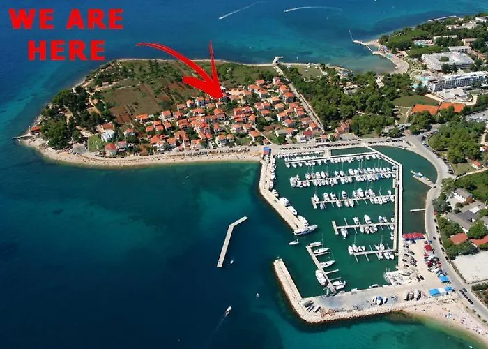 Anabella Ii * زادار